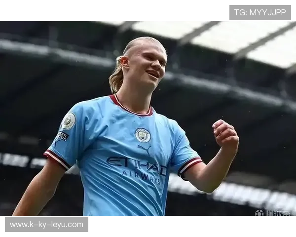 哈兰德门前终结保持高效